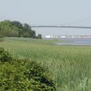 Delaware Estuary