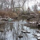 PCB-contaminated material was historically disposed of directly into adjacent wetlands