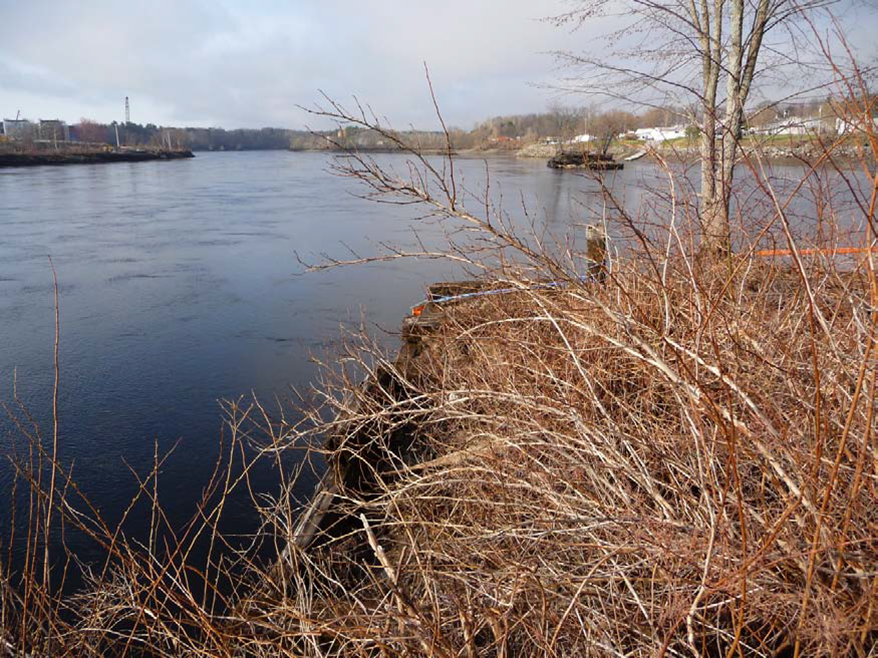 View of the Penobscot River looking just north of the site from the southeast side of the river.