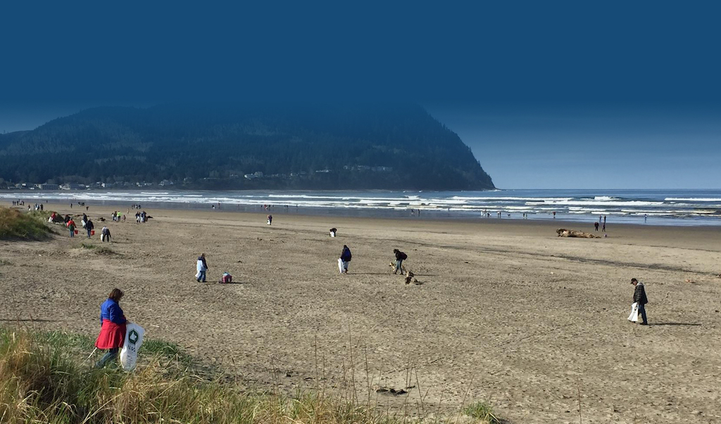 People collecting marine debris on a Pacific Northwest beach