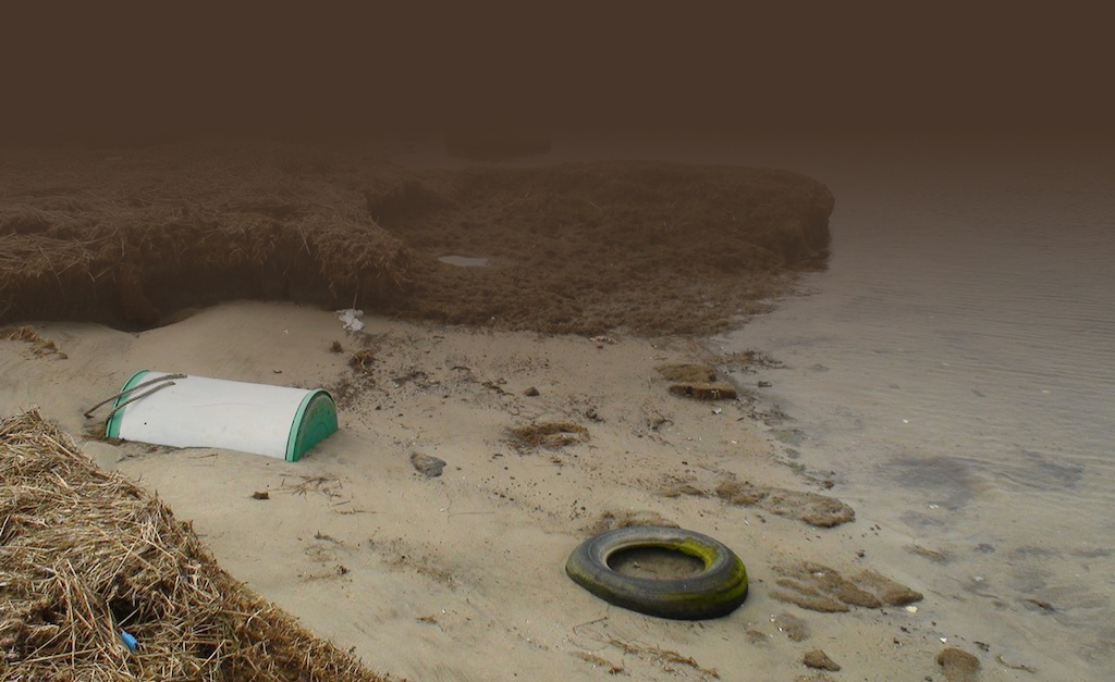 Marine debris on a beach